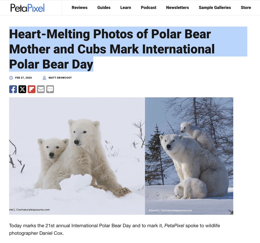 2026 February PetaPixel article preview