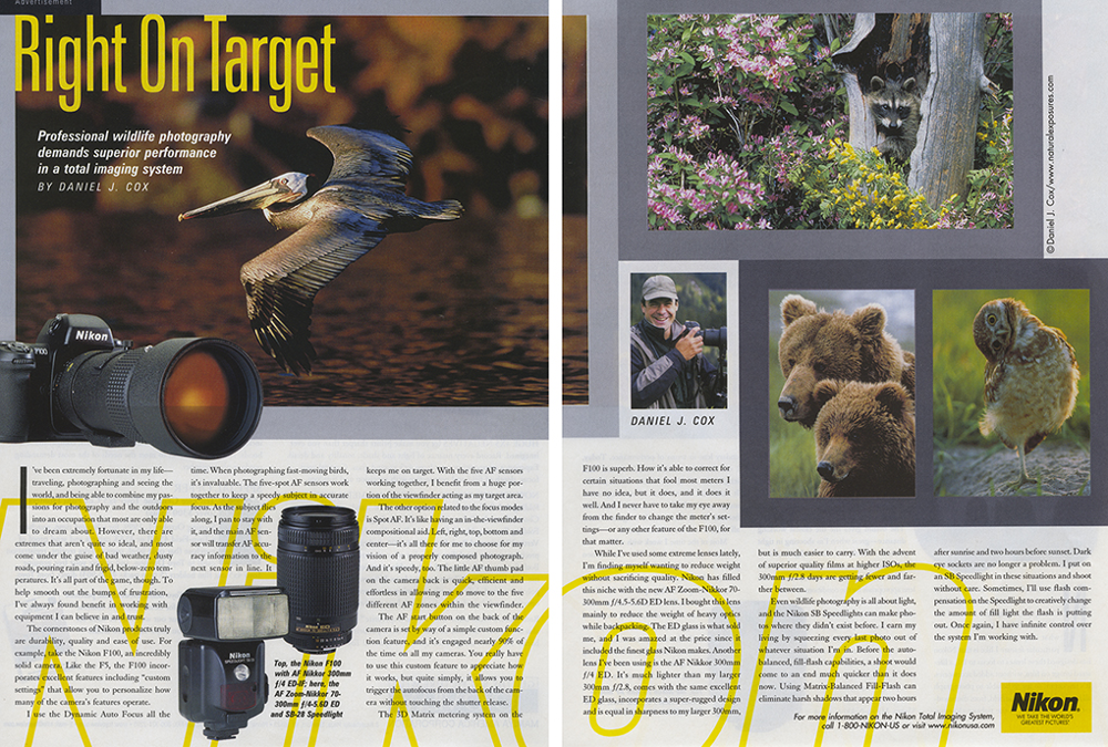 Nikon article preview