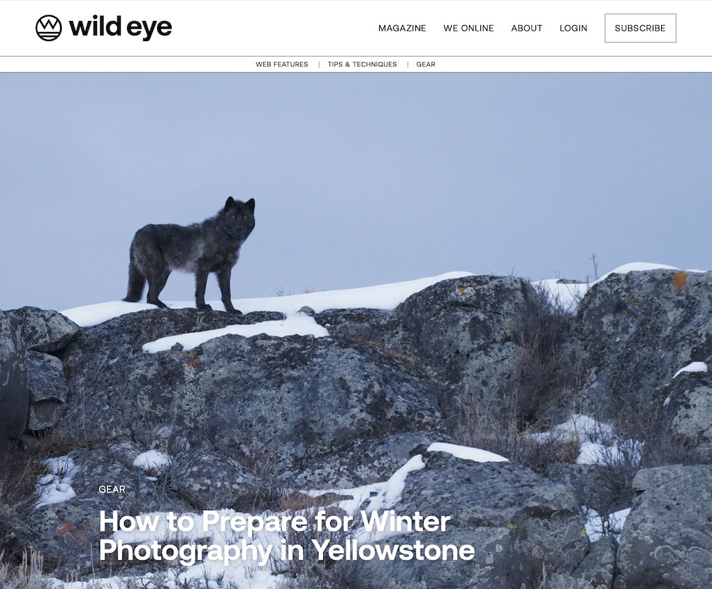 Wild Eye Magazine featuring Daniel J. Cox
