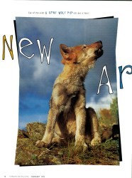 Cover of 1997 Horizon Air: New Arrivals