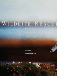 Cover of 2000 Boys' Life: Wildlife Rescue