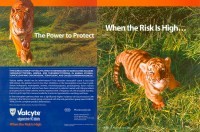 Cover of 2004 Valcyte Ad