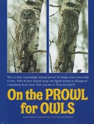 Cover of 2008 March National Wildlife: On The Prowl for Owls