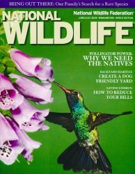 Cover of 2009 June/July National Wildlife: Tiny Terror of the Skies
