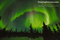 Cover of 2009 Printing For Less