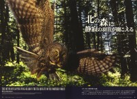 Cover of 2012 Wildlife View