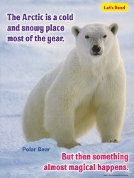 Cover of 2013 August Ranger Rick Jr.