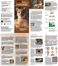 Cover of 2013 Discover Washington's Cougars Brochure
