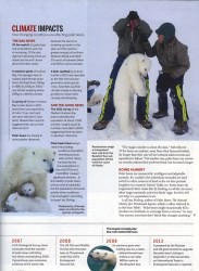 Cover of 2013 May BBC Wildlife: Saving The Polar Bear?