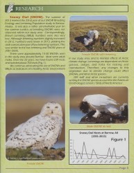 Cover of 2013 November The Roost from The Owl Research Institute