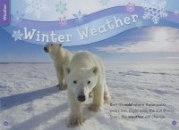 Cover of 2014 November/December National Geographic Young Explorer