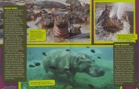 Cover of 2015 May Ranger Rick