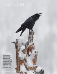 Cover of 2021 Winter Mountain Outlaw