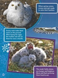 Cover of 2023 November Ranger Rick Jr. (page 10)