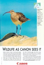 Cover of Canon Ad