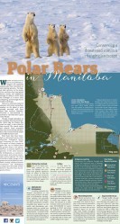 Cover of CPAWS - Manitoba Chapter