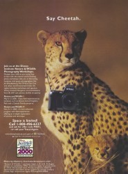 Cover of Disney Institute Ad