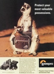 Cover of Lowepro Ad