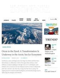 Cover of San Diego Global Zoonooz