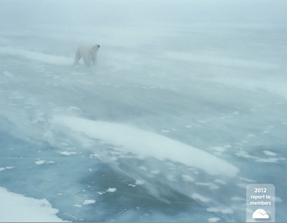 Preview of 2012 Polar Bears International Annual Report