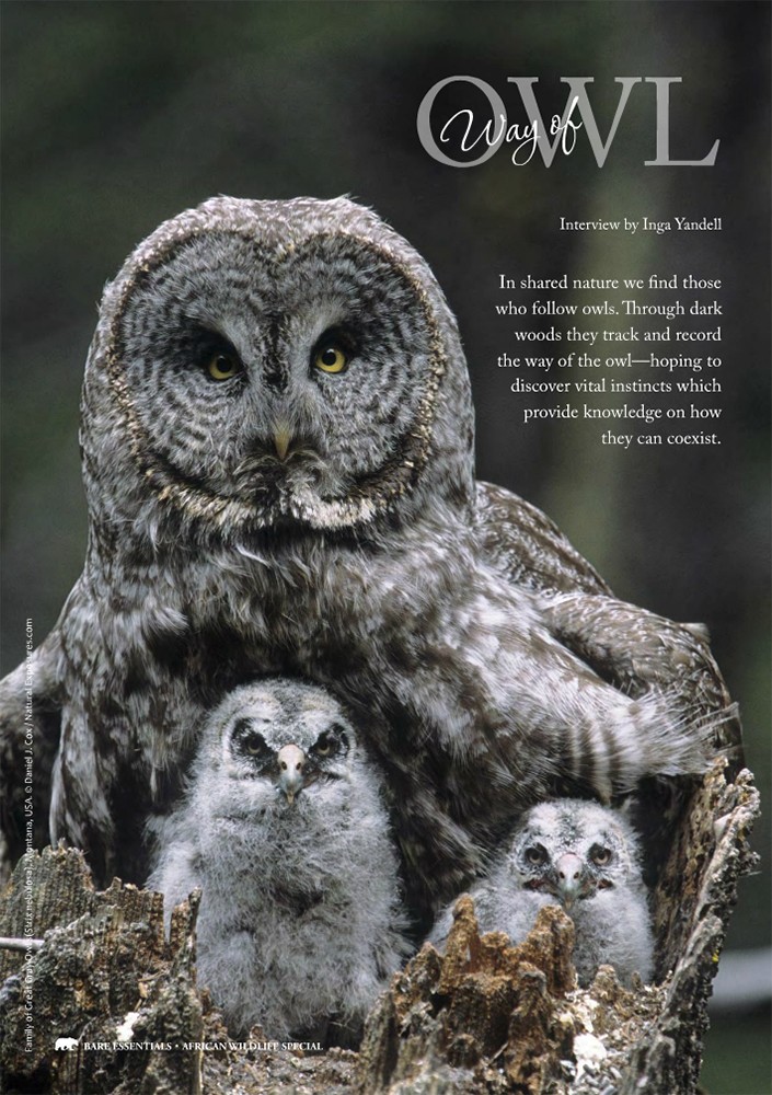 Preview of 2014 Bare Essentials: Way of Owl, Page 21