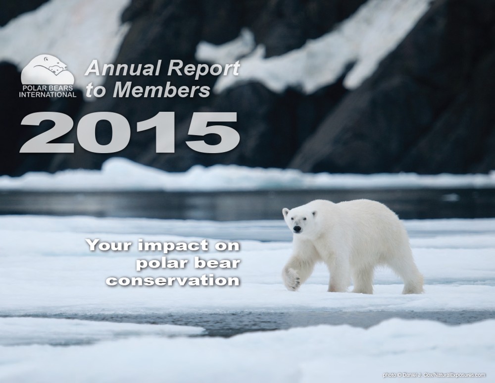Preview of 2015 Polar Bears International Annual Report