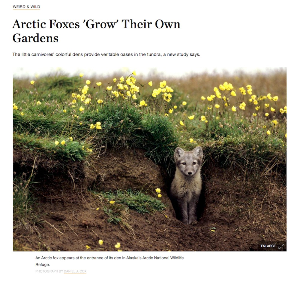 Preview of 2016 May National Geographic News