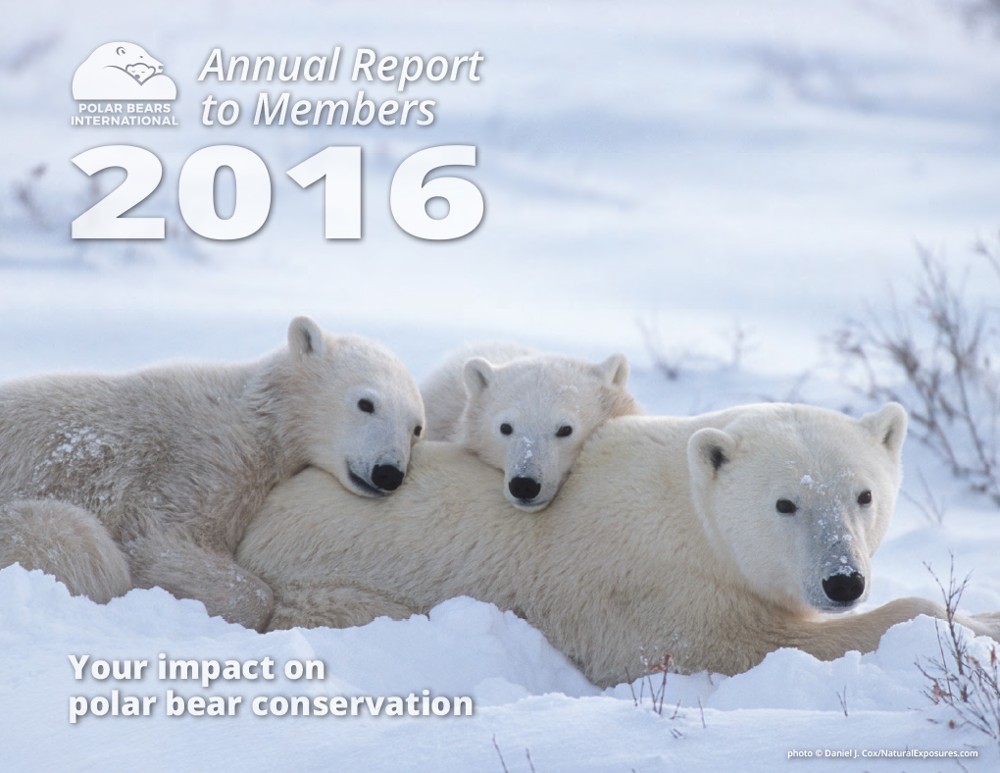 Preview of 2016 Polar Bears International Annual Report