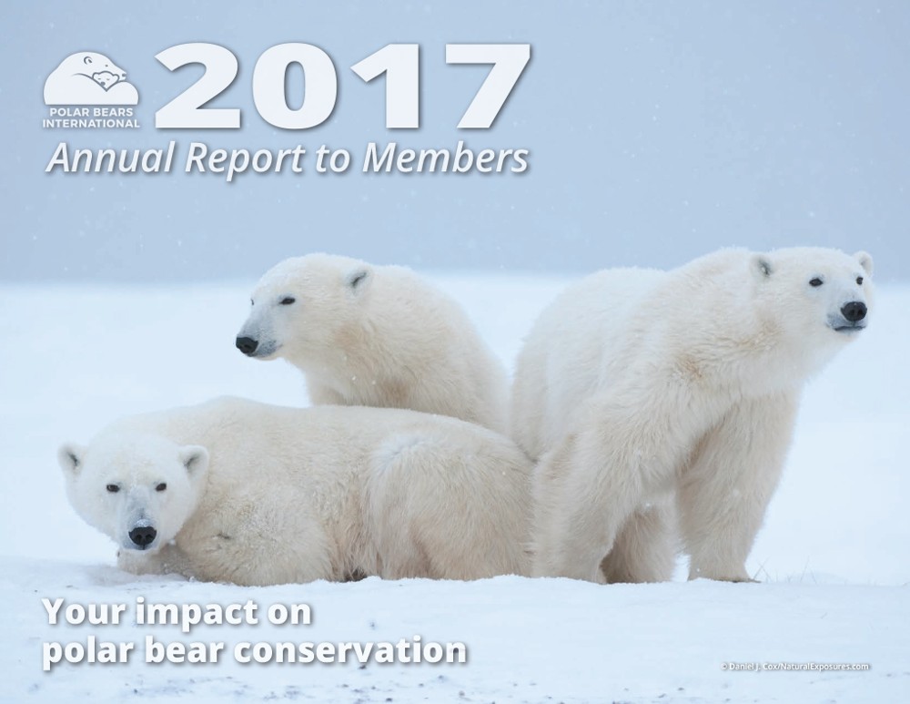 Preview of 2017 Polar Bears International Annual Report