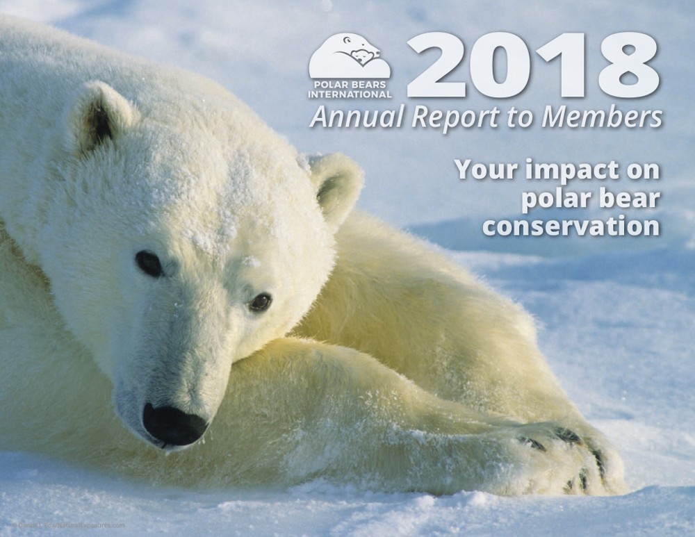Preview of 2018 Polar Bears International Annual Report