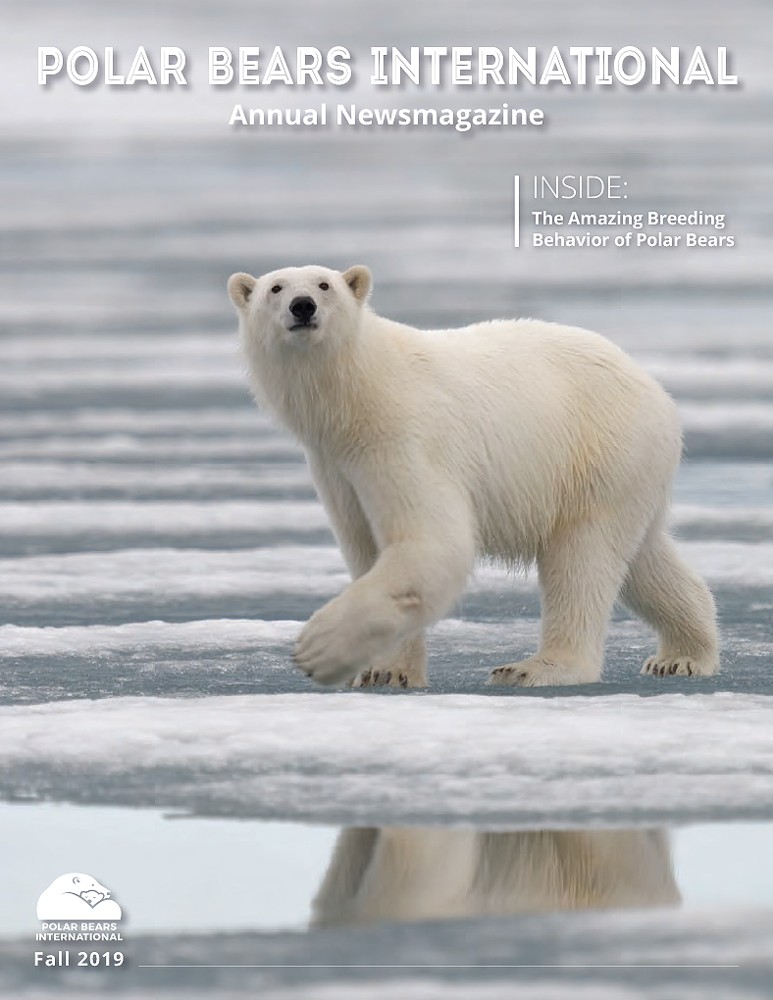 Preview of 2019 Polar Bears International Annual News Magazine