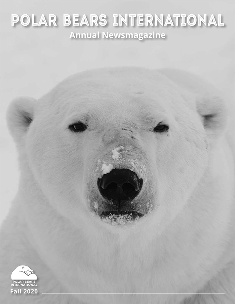 Preview of 2020 Polar Bears International Annual News Magazine