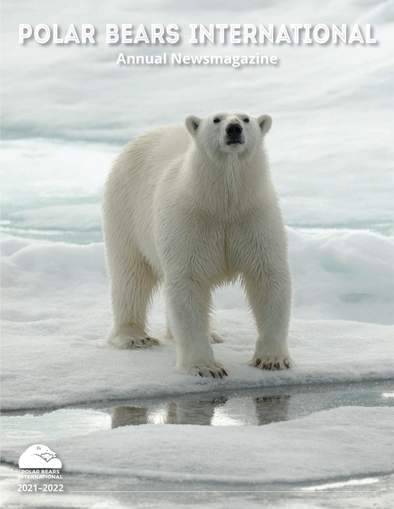Preview of 2021 Polar Bears International Annual News Magazine