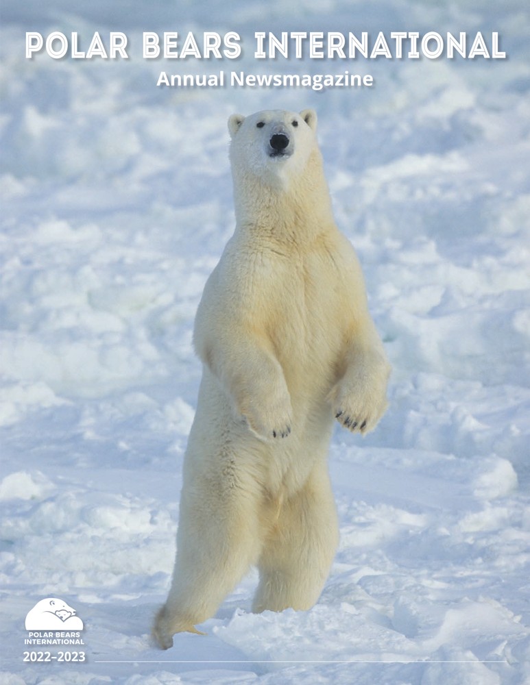 Preview of 2022 Polar Bears International Annual News Magazine