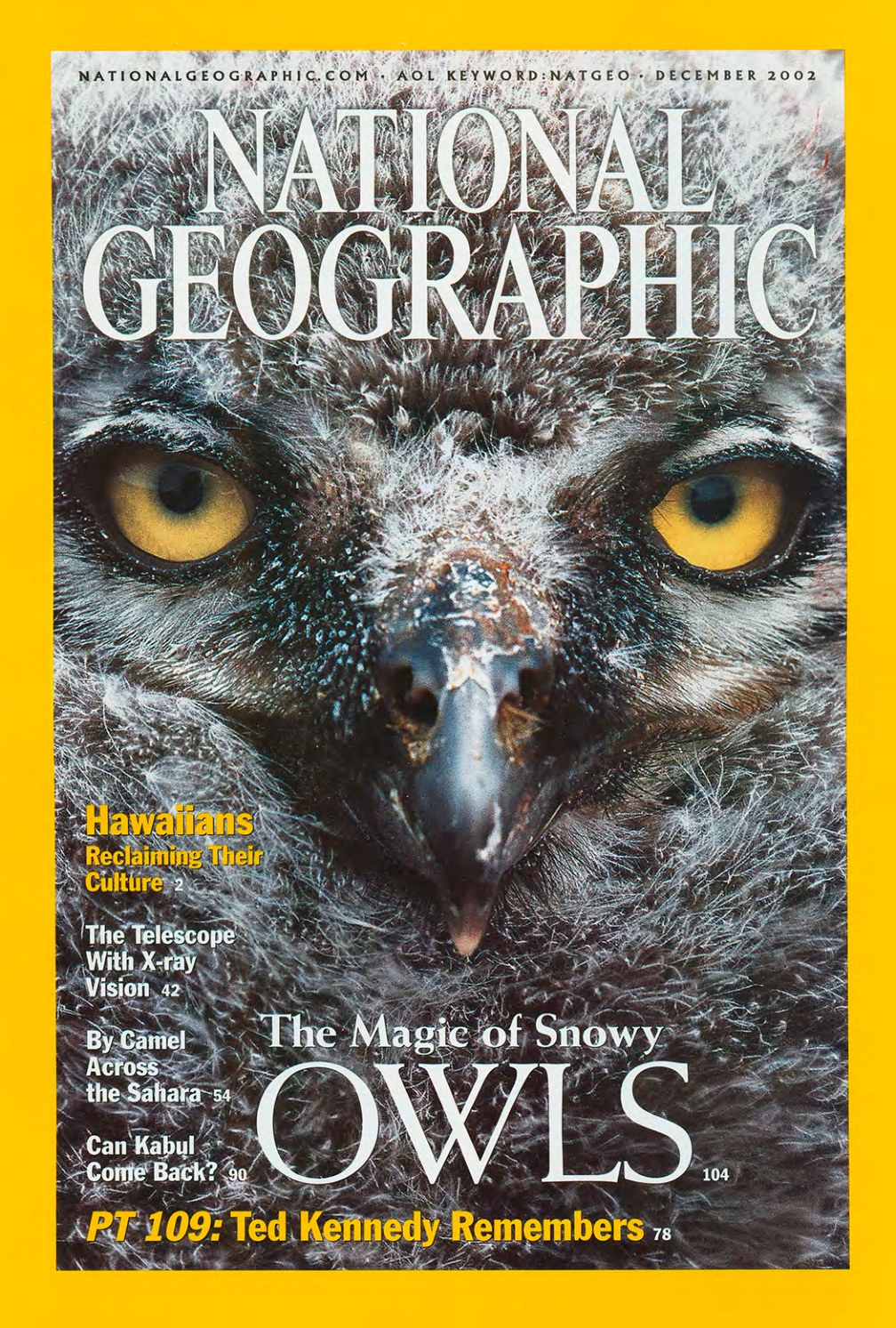 National Geographic December 2002 cover featuring a snowy owl