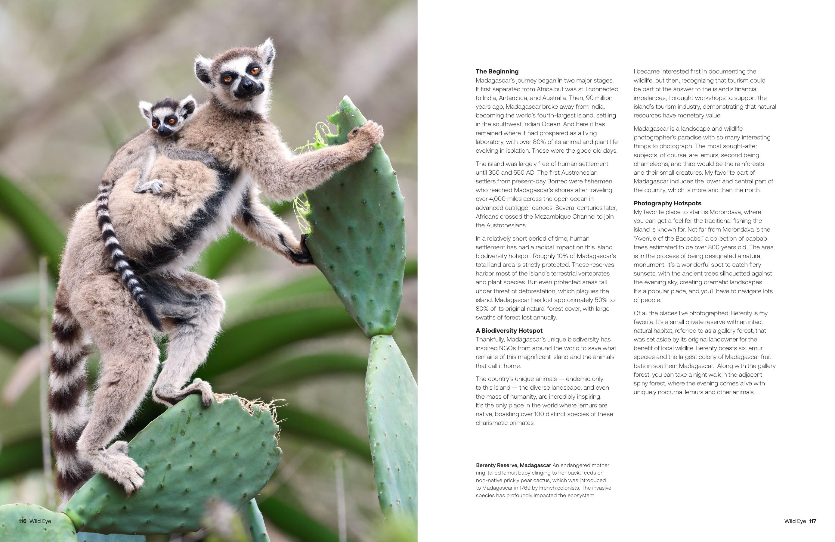 Wild Eye magazine spread with Madagascar field notes and a ring-tailed lemur