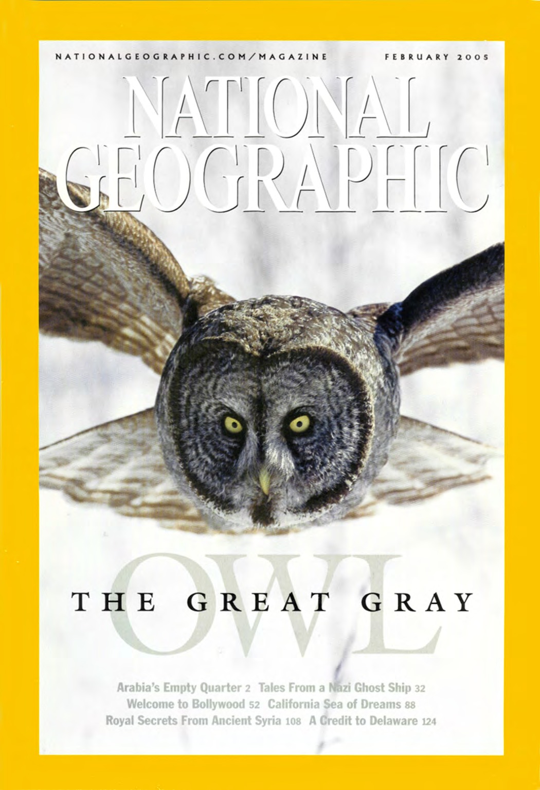 National Geographic February 2005 cover featuring a great gray owl
