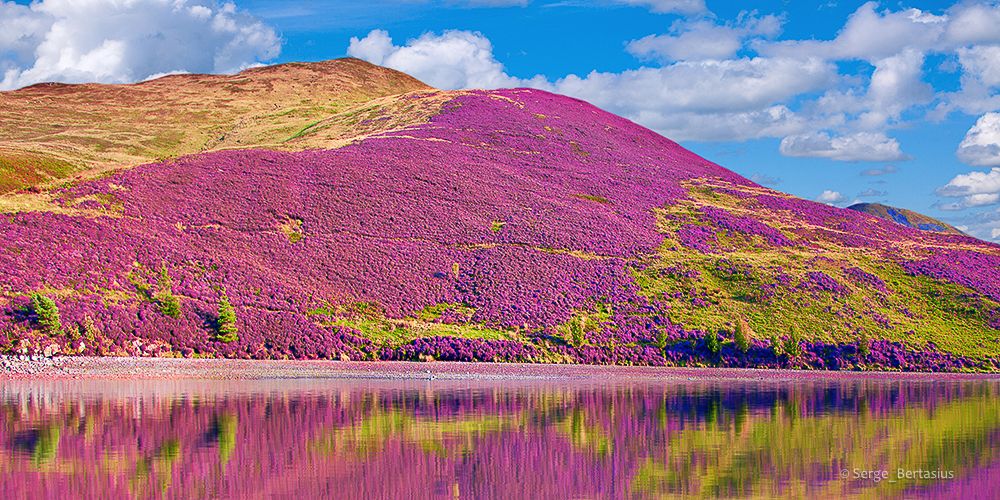 Heather-covered hills reflected in a Scottish loch